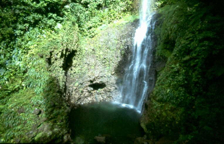 Dominica, Wasserfall.jpg